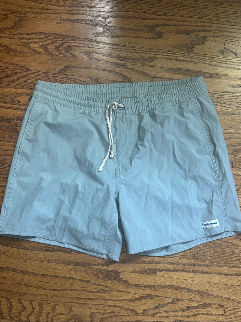 Patagonia Pale Blue Nylon Shorts with White Logo Tag